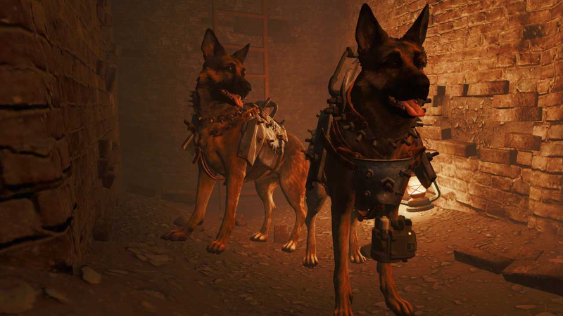 Illustration for article titled Mod Lets You Play As Dogmeat, The True Hero of Fallout 4